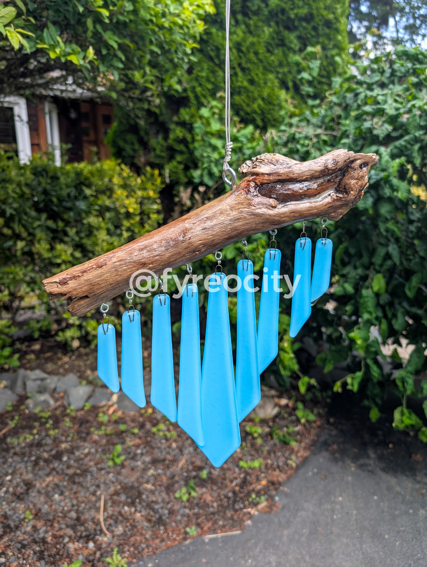 Driftwood 1