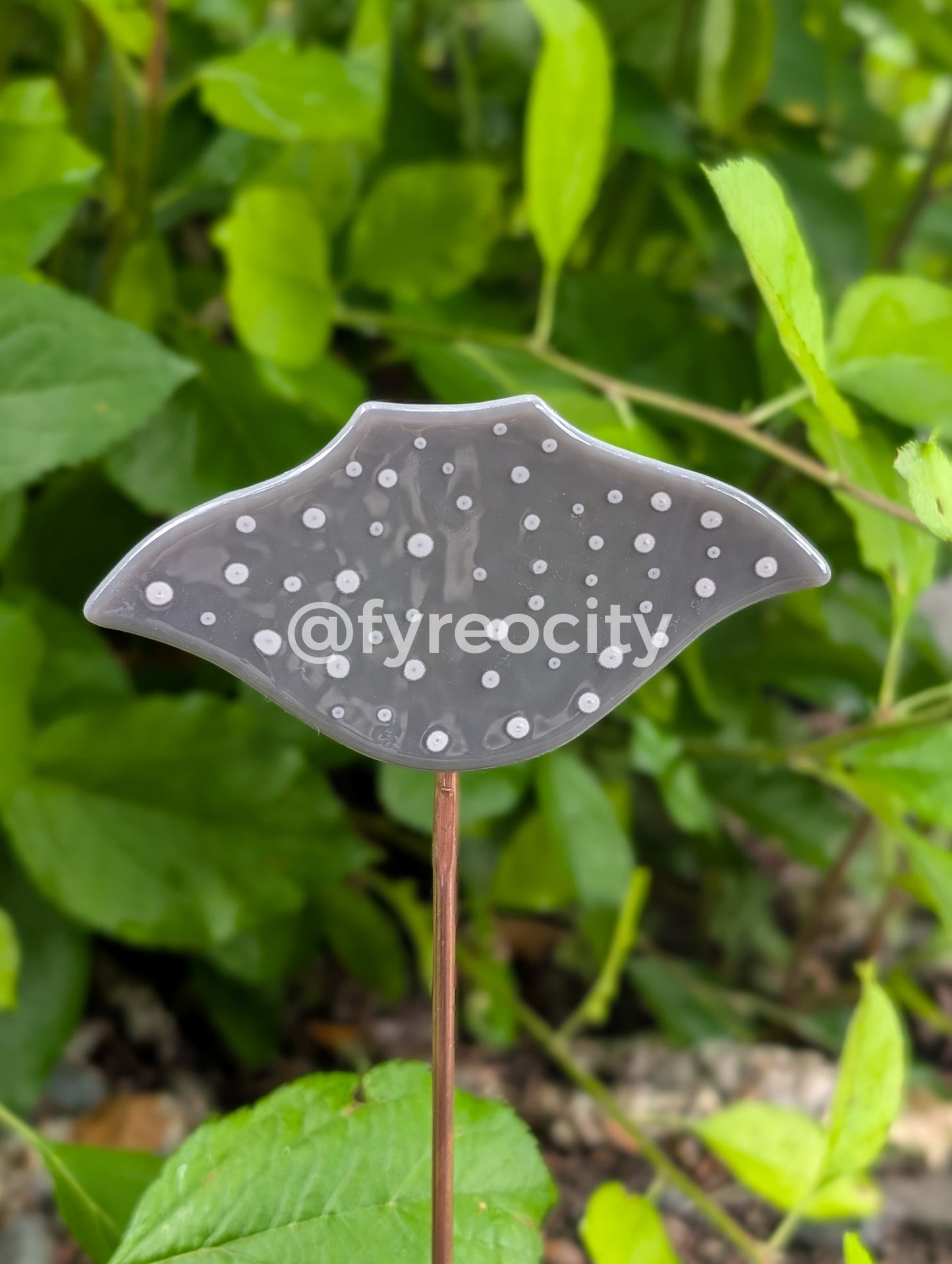 Plant Stakes - Sting Ray
