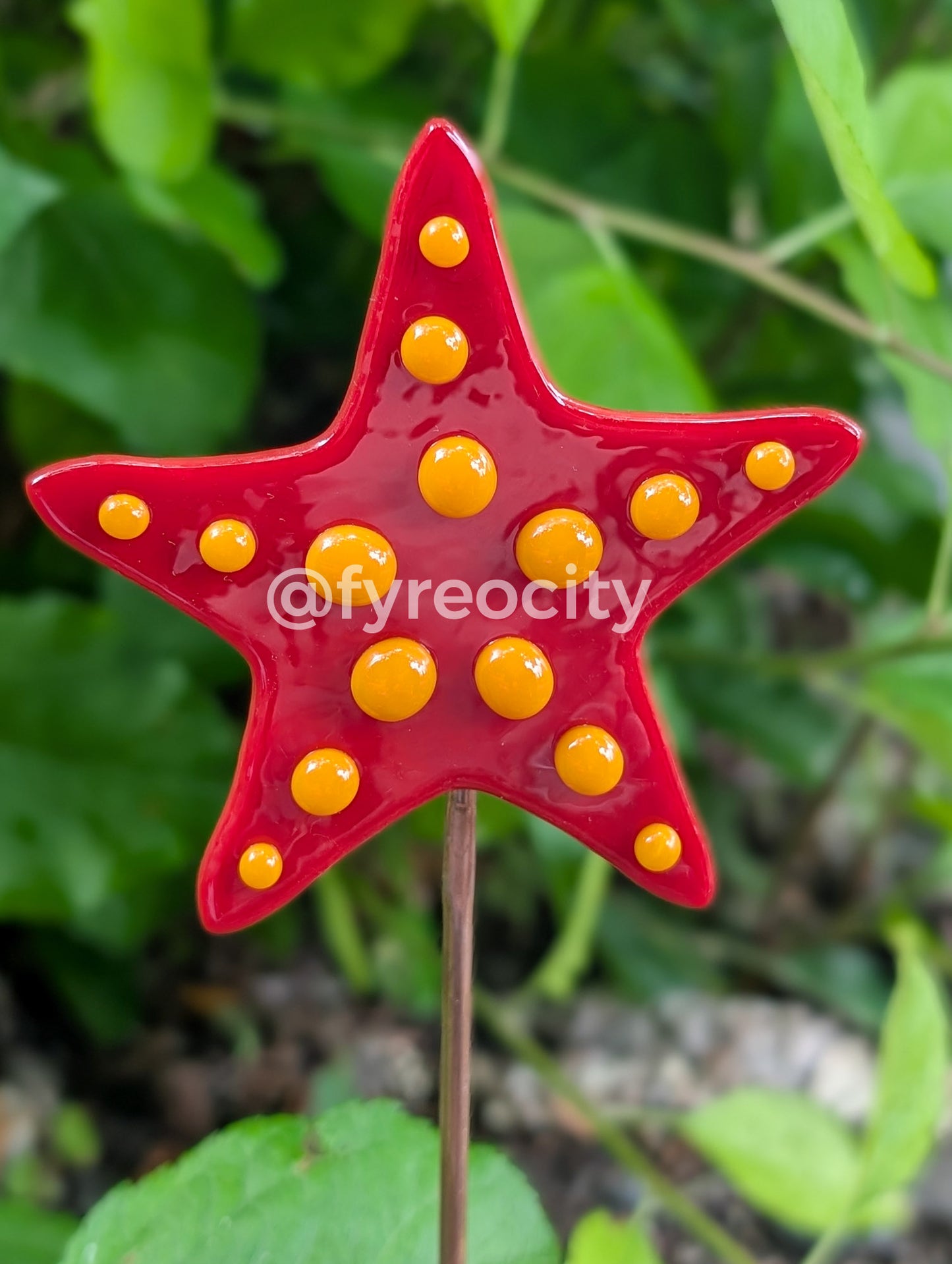 Plant Stakes - Sea Star