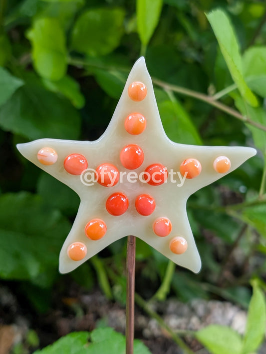 Plant Stakes - Sea Star