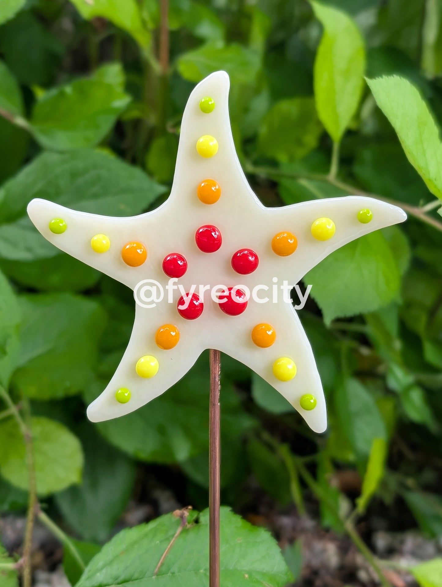Plant Stakes - Sea Star