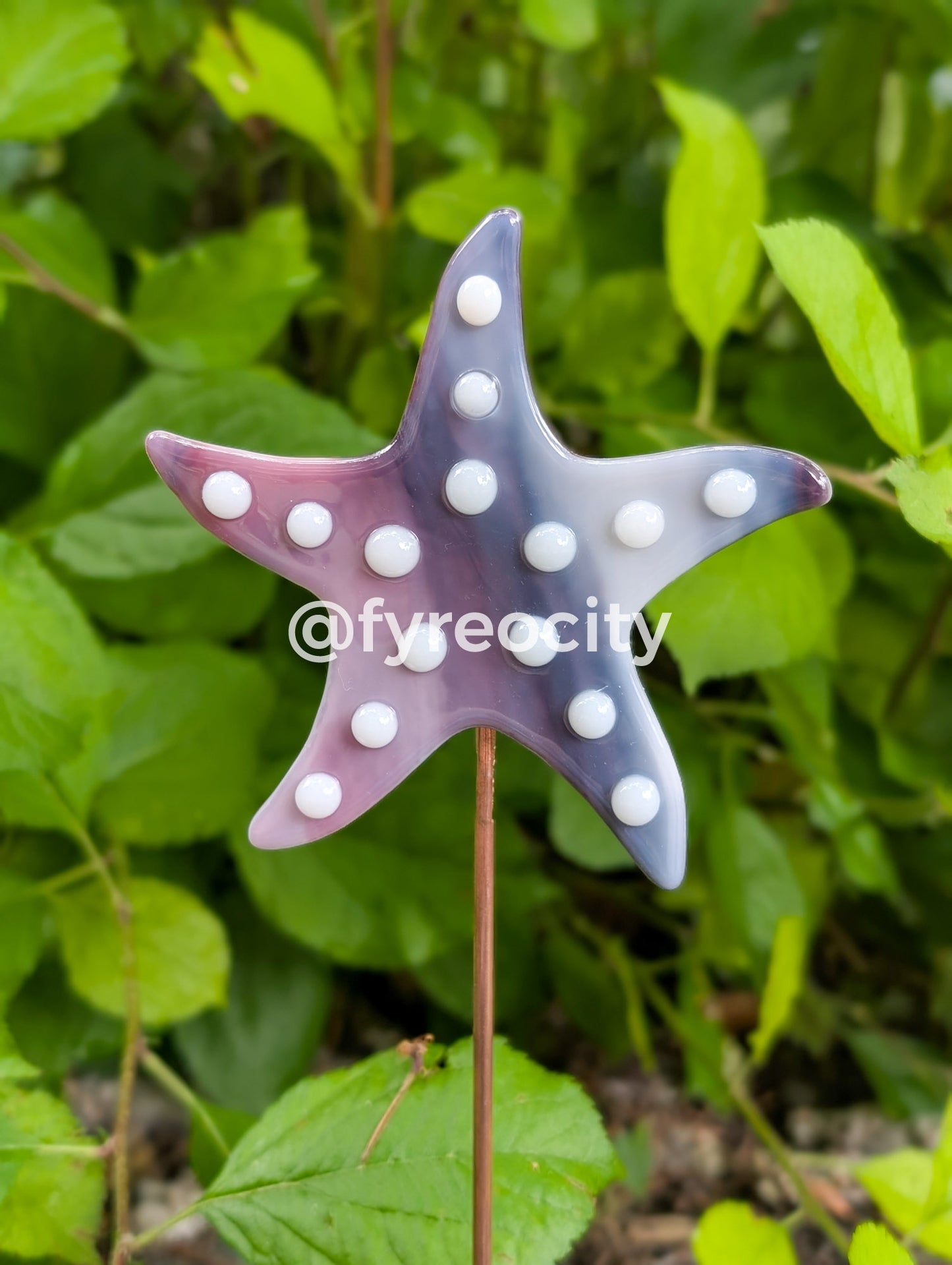 Plant Stakes - Sea Star