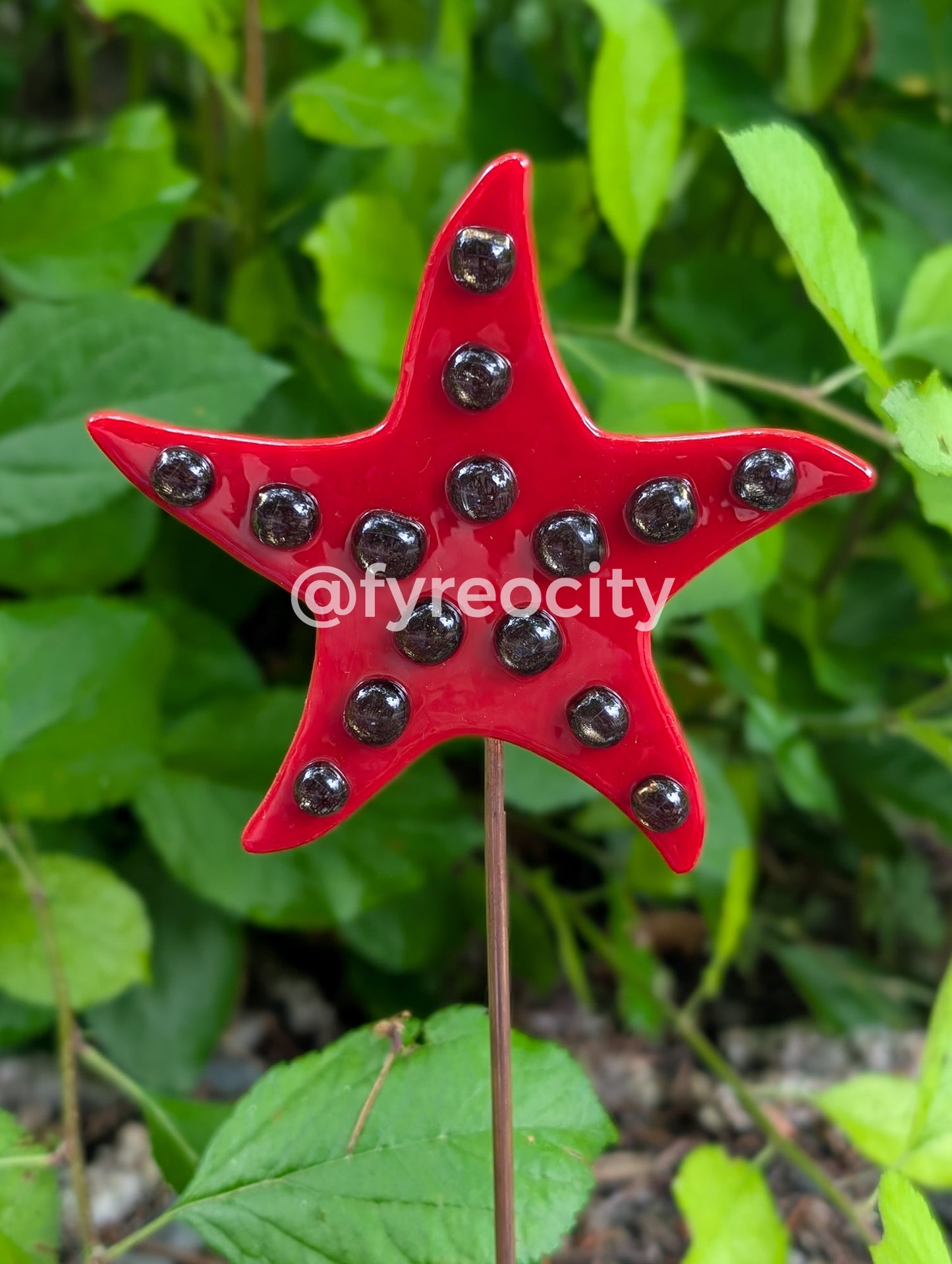 Plant Stakes - Sea Star
