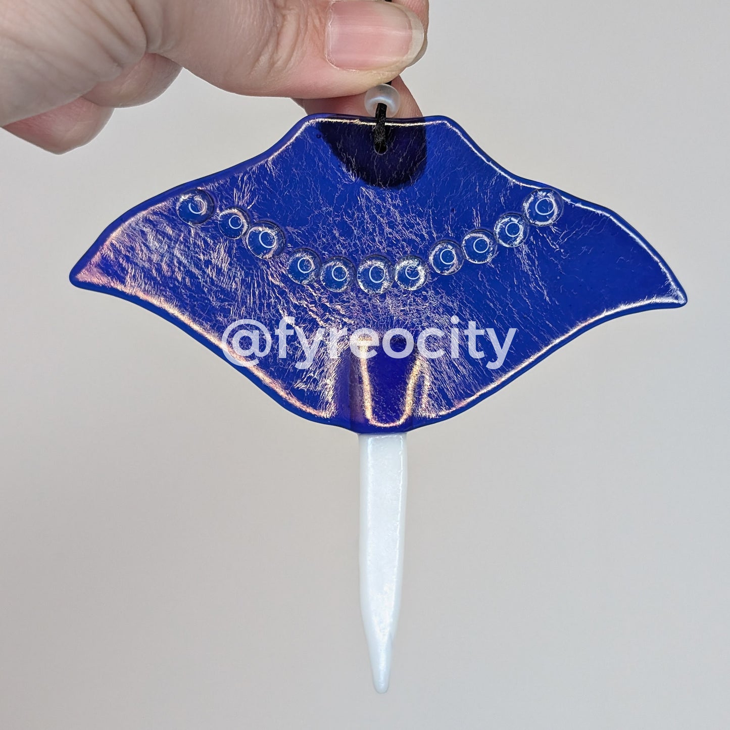 Ornaments - Sting Rays