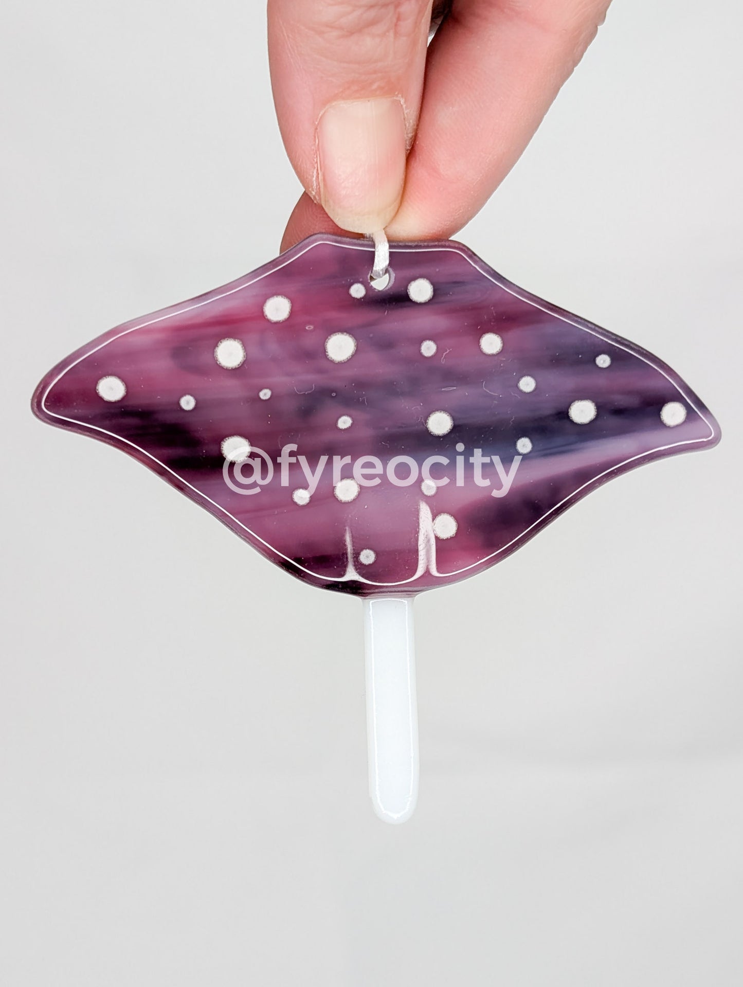 Ornaments - Sting Rays