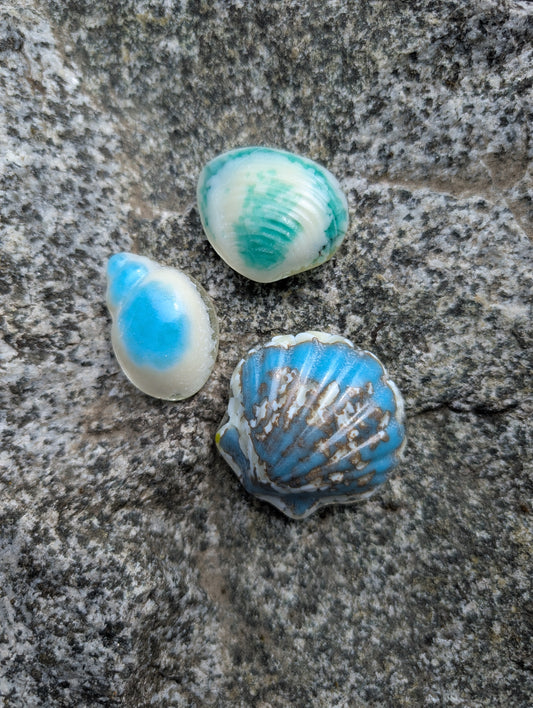 Sea Creature Casts