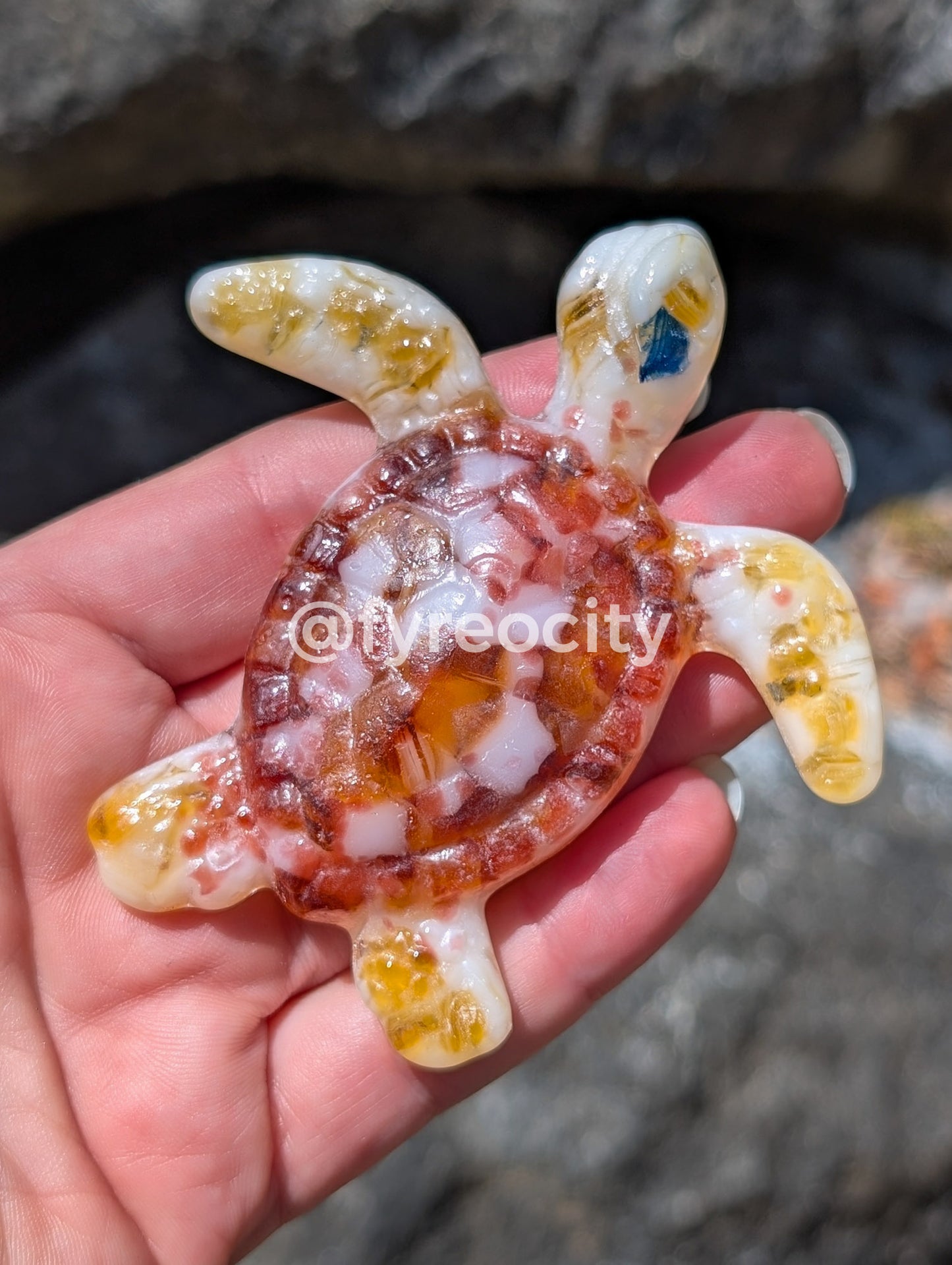 Sea Creature Casts
